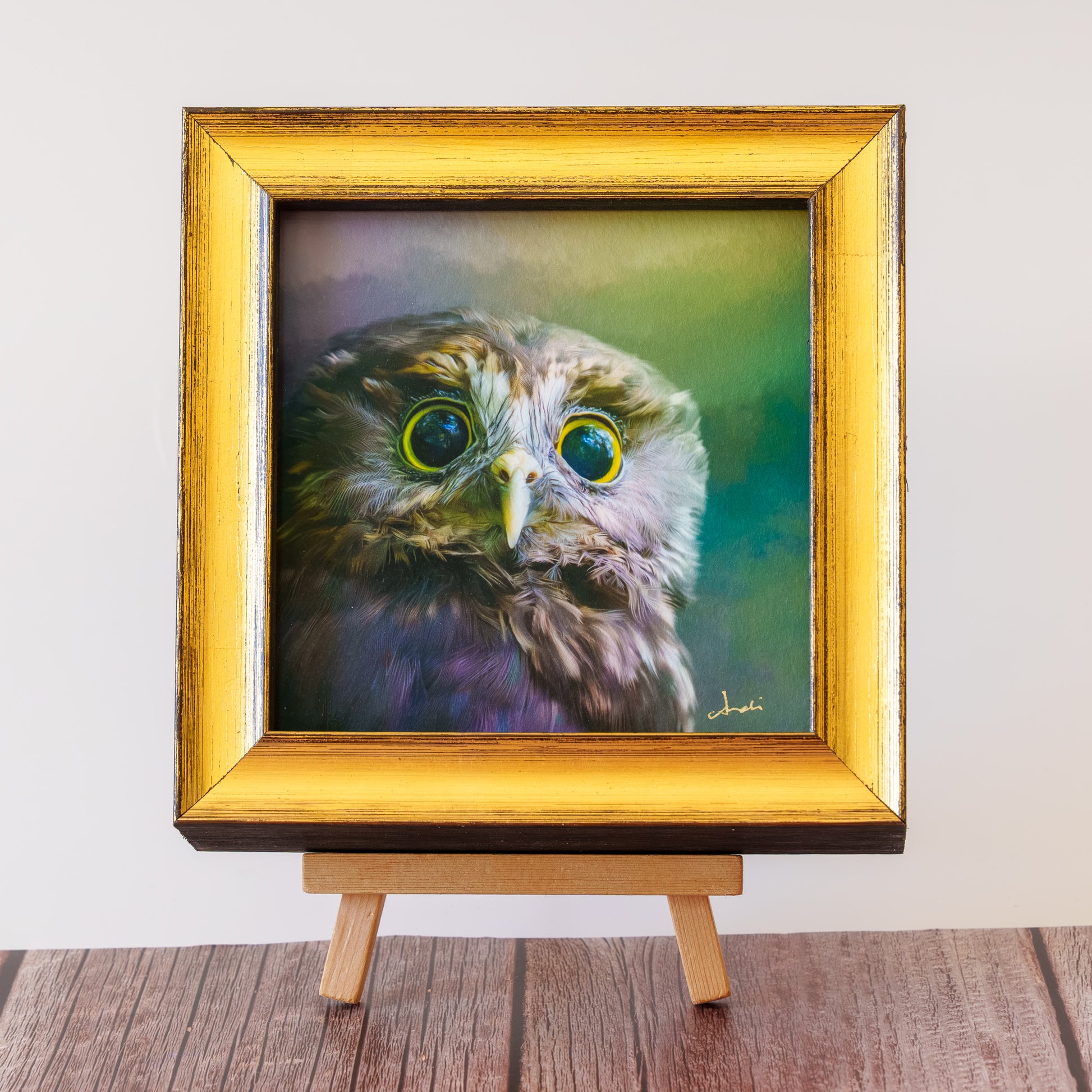 Framed TinyArt