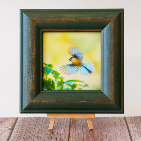 Framed TinyArt