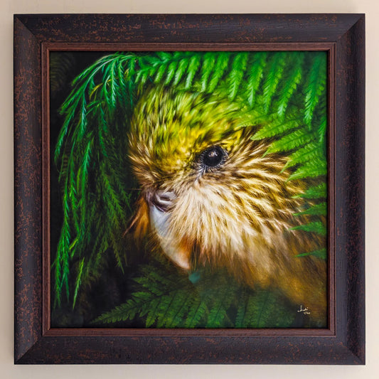 Painting of a shy kakapo