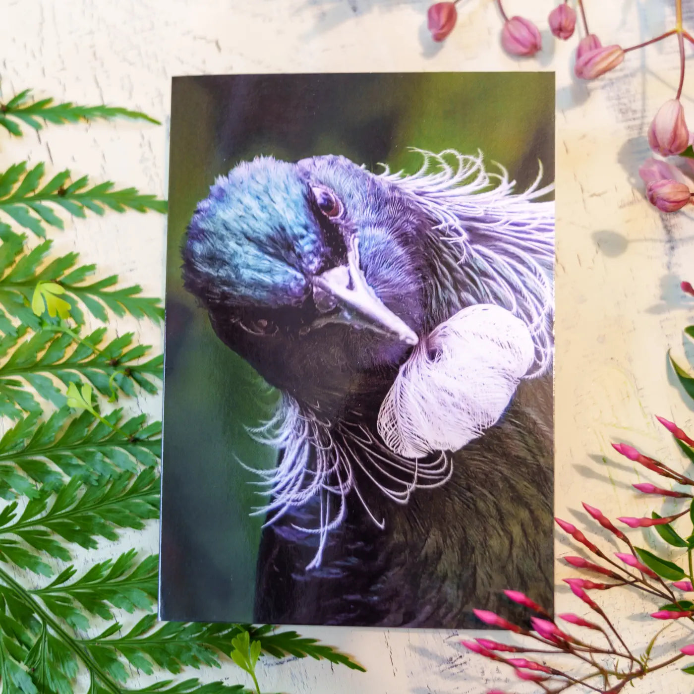 Greeting card of quirky tui