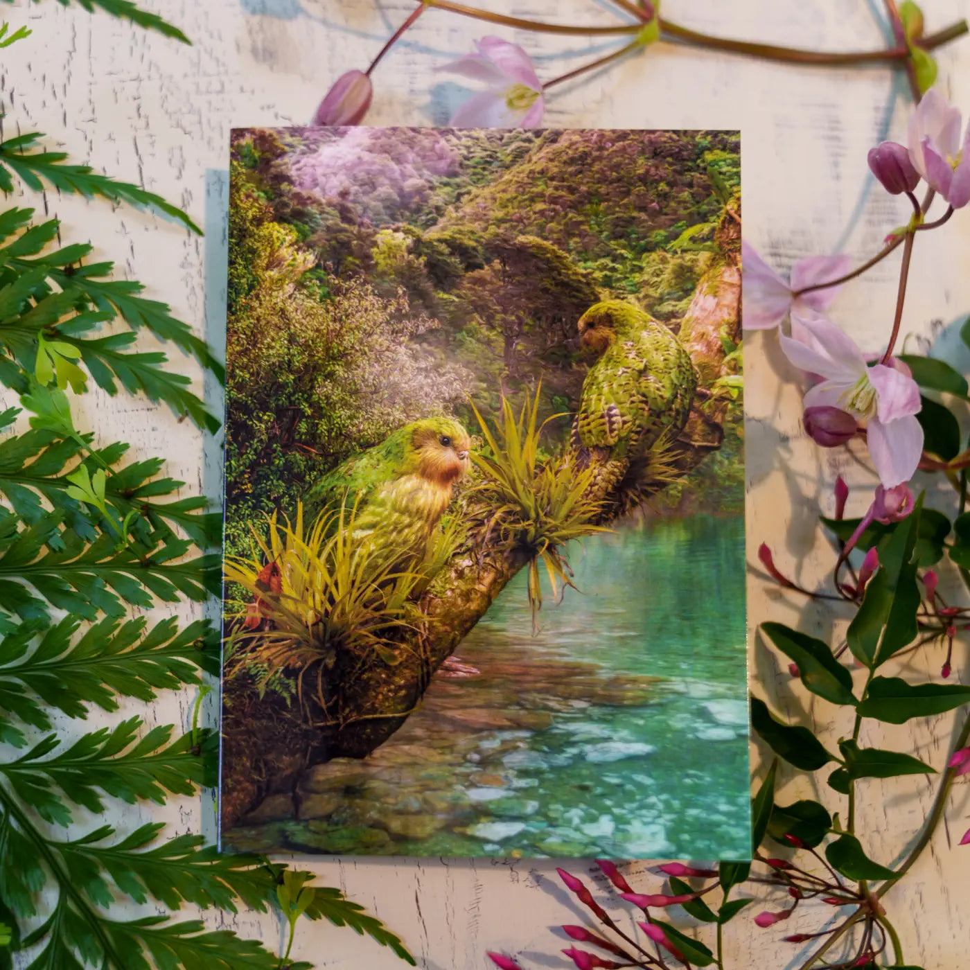 Greeting card wtih two kakapo