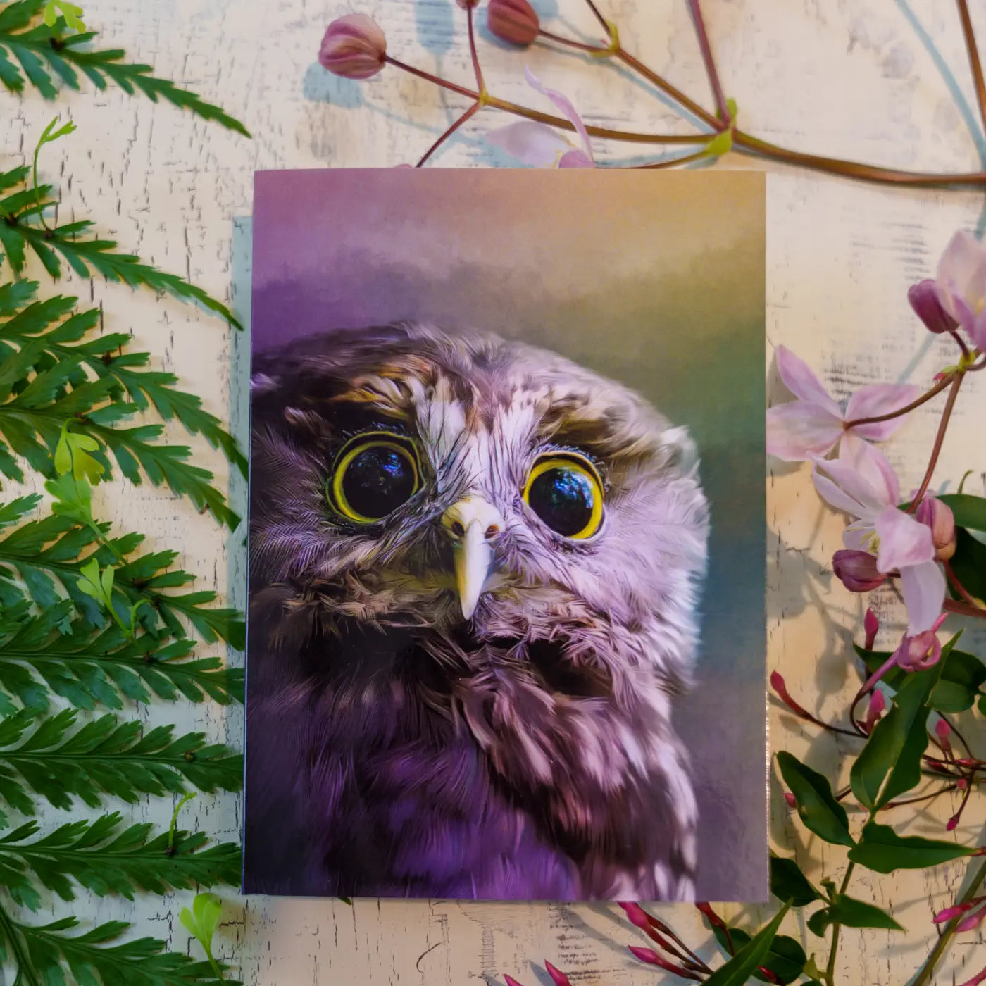 greeting card of an owl with big eyes