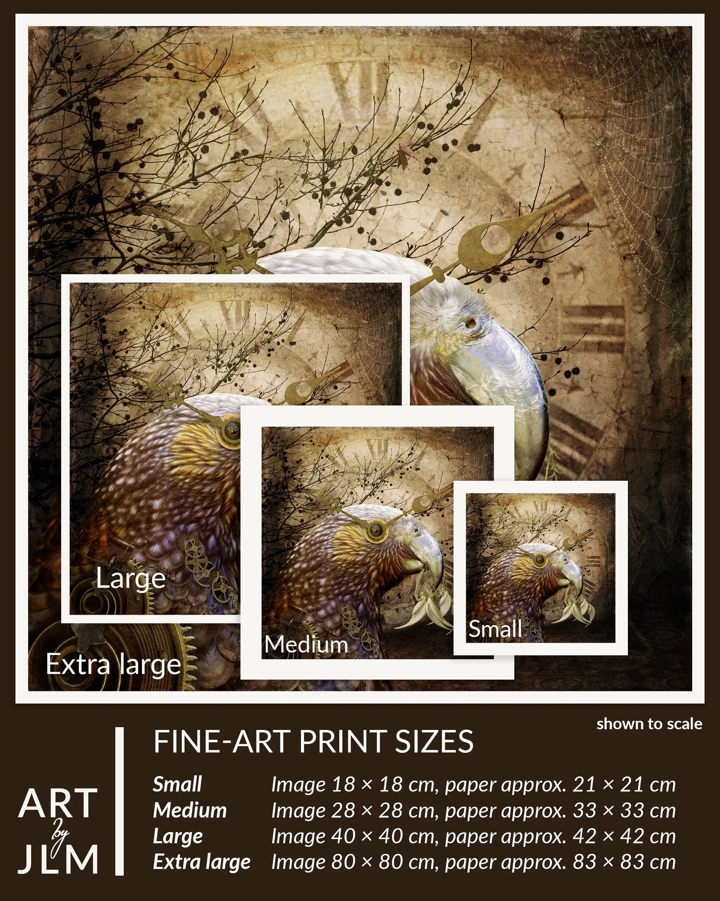 Fine-art print sizes of an parrot illustration with scale indicators.