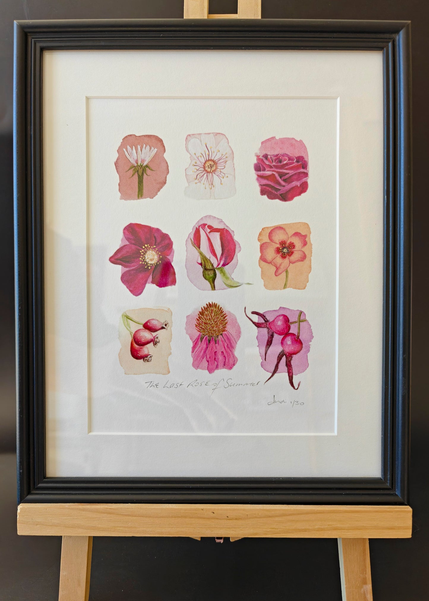 Framed artwork of floral illustrations on a white background
