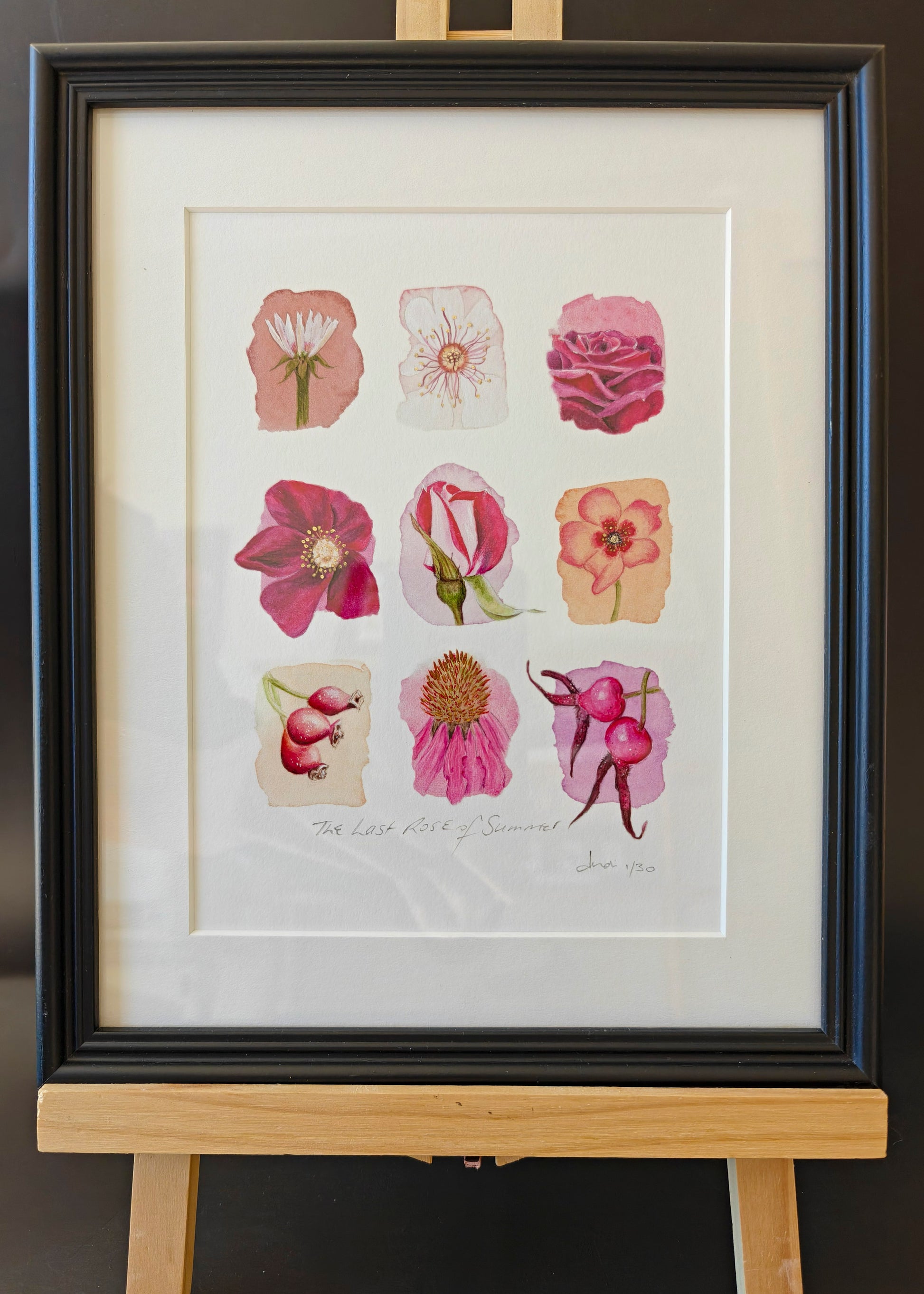 Framed artwork of floral illustrations on a white background
