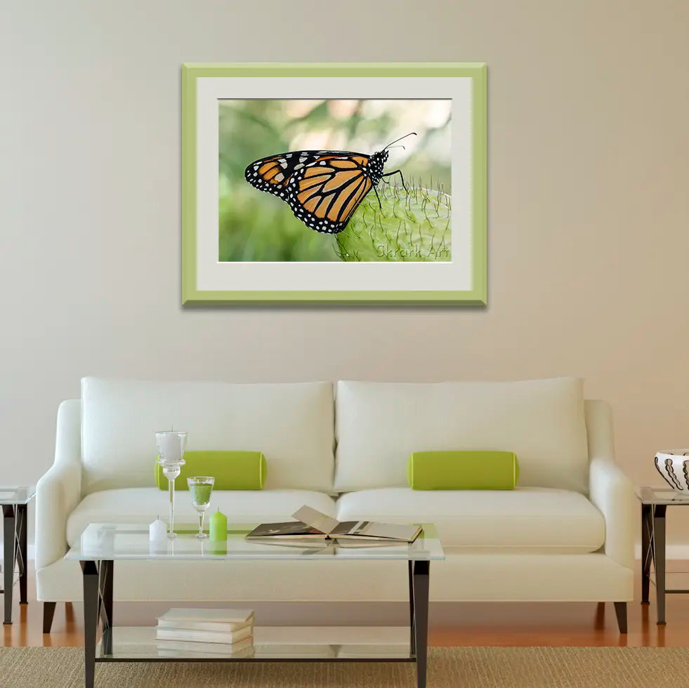 Monarch butterfly print, framed in light green frame and hung over a cream couch.