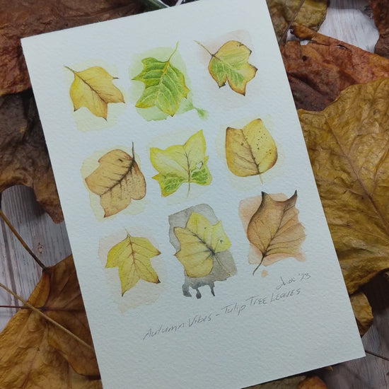 Zooming in video of painting of autumn leaves
