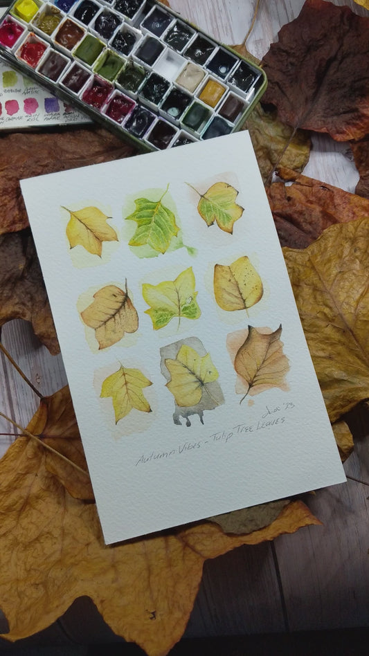 Zooming in video of painting of autumn leaves