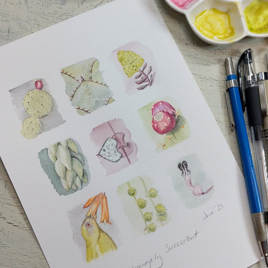 video of watercolour painting zooming in on the details of each succulent