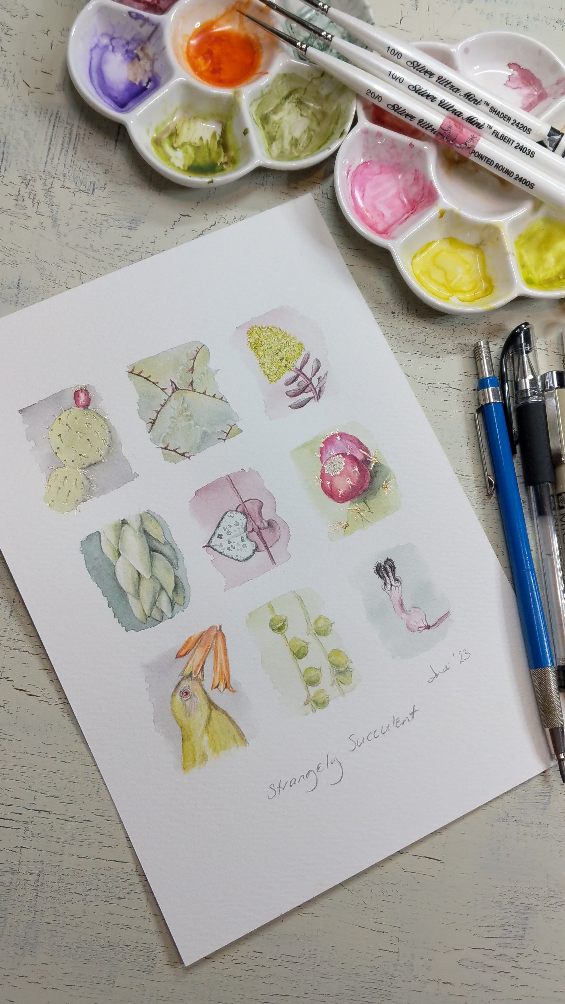 video of watercolour painting zooming in on the details of each succulent