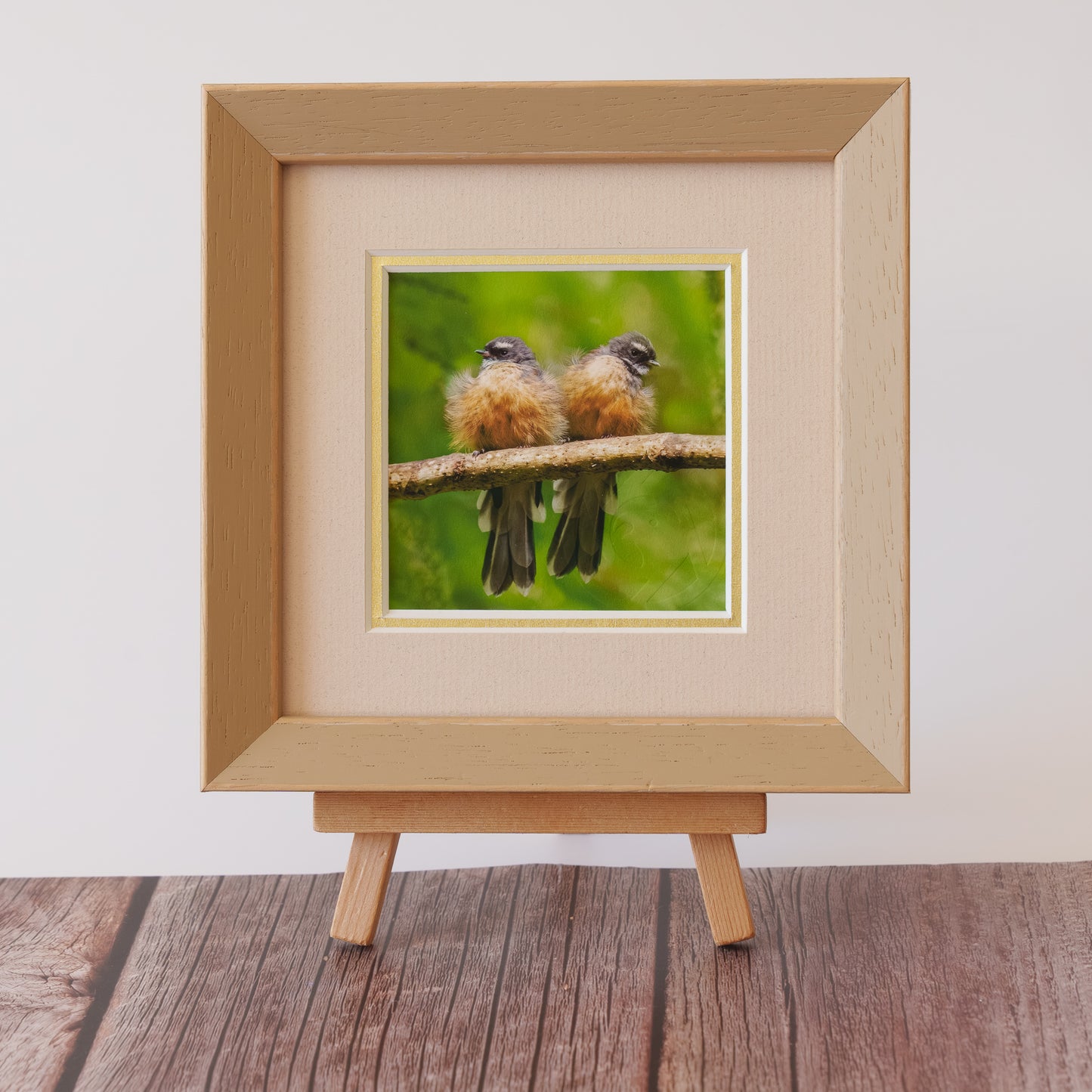 Framed TinyArt