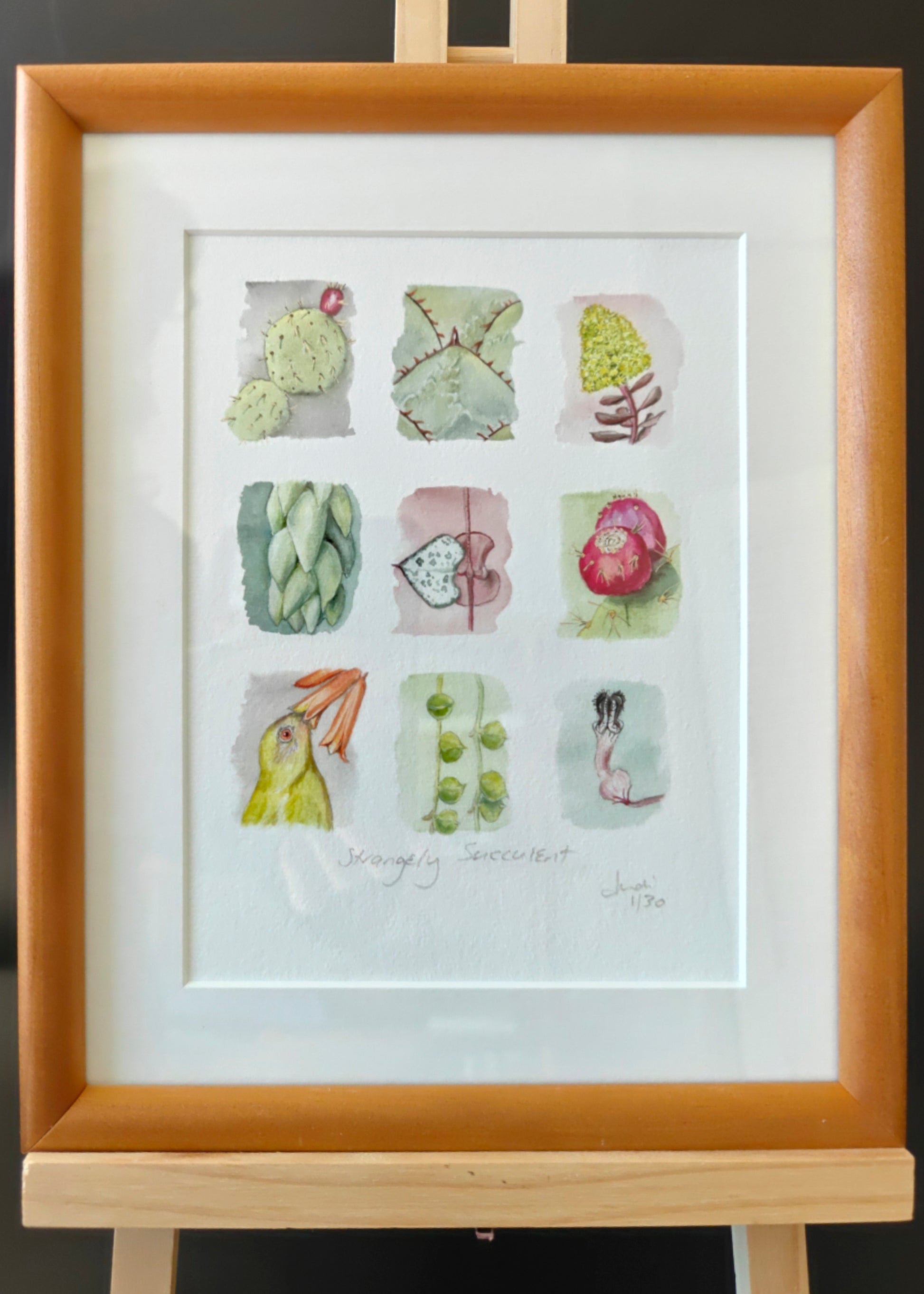 3x3 illustration of succulents in watercolour