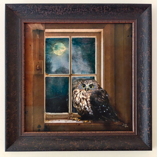 painitng of a tiny ruru owl in a window