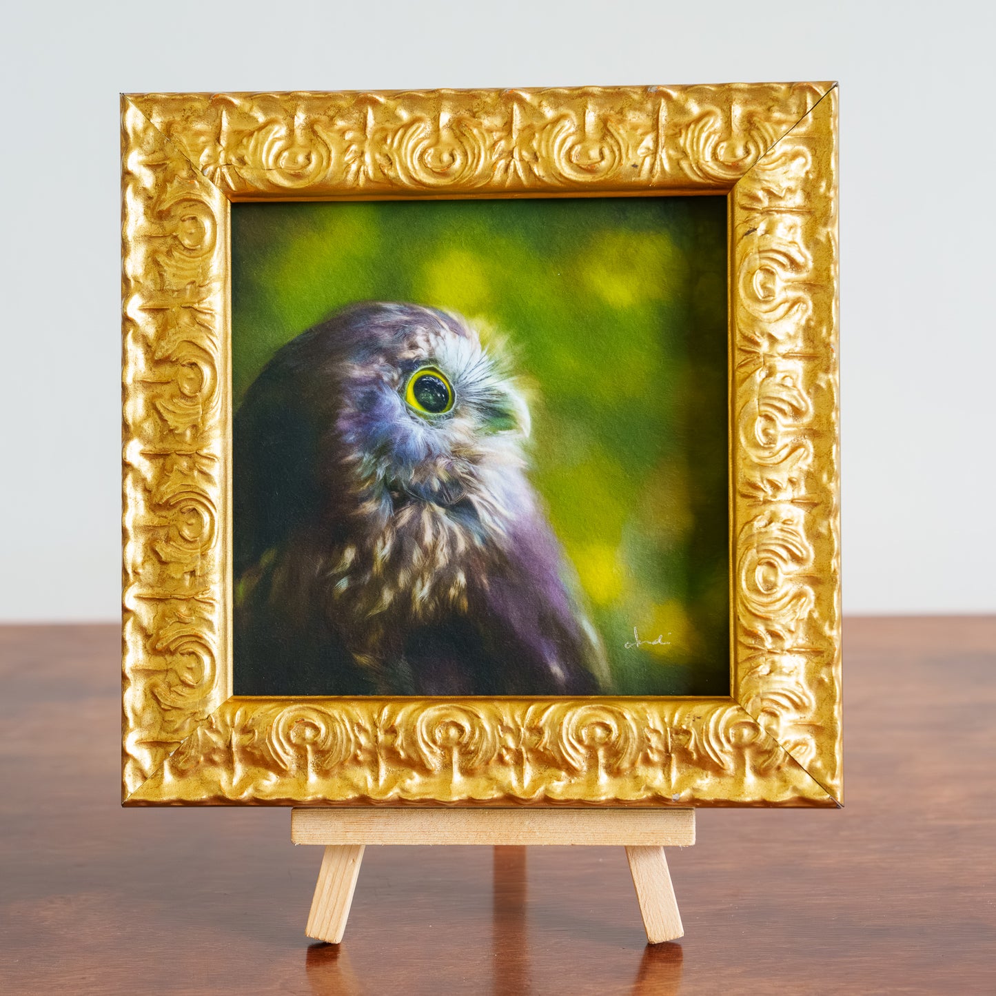 The Stargazer (ruru) - Framed TinyArt