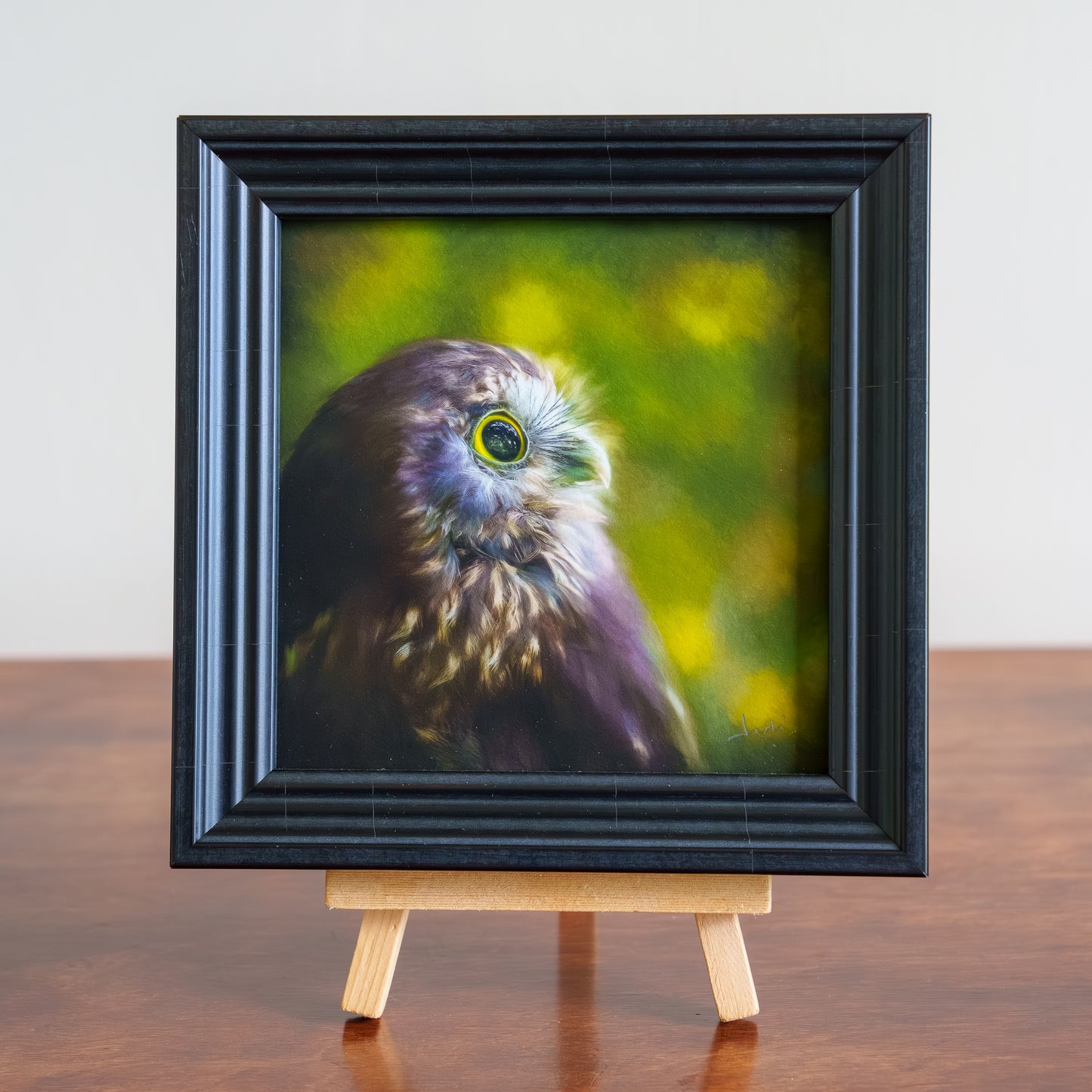 The Stargazer (ruru) - Framed TinyArt