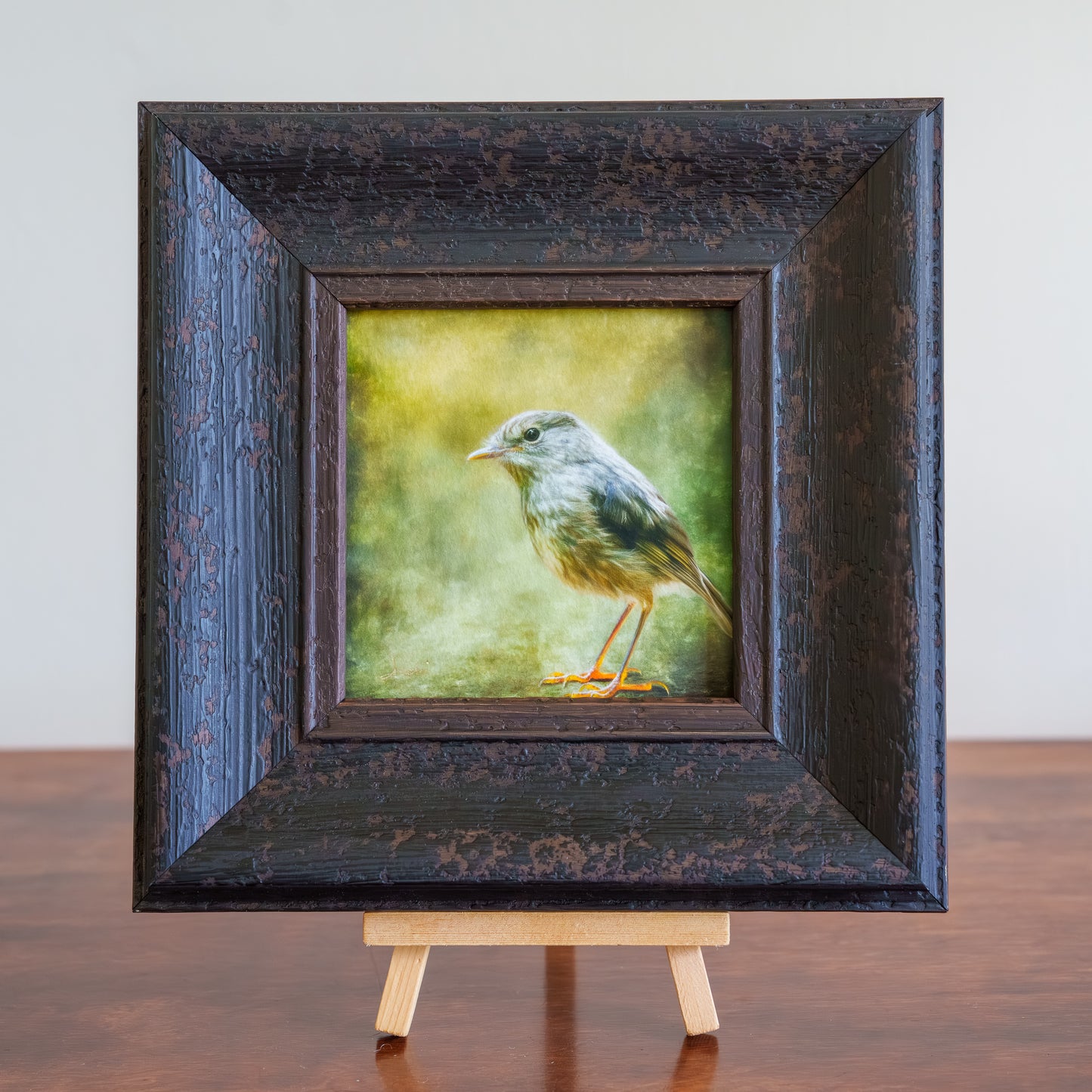 Inquisitive Toutouwai - Framed TinyArt
