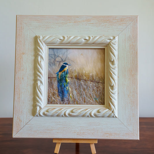 Patience Rewarded (kōtare) - Framed TinyArt