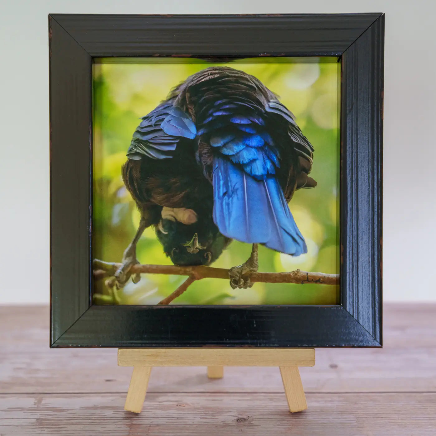 Framed TinyArt
