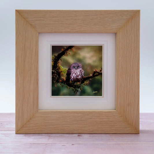 Framed TinyArt