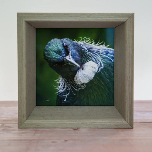 Framed TinyArt