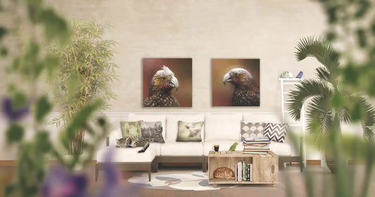 two kaka artworks in a living room