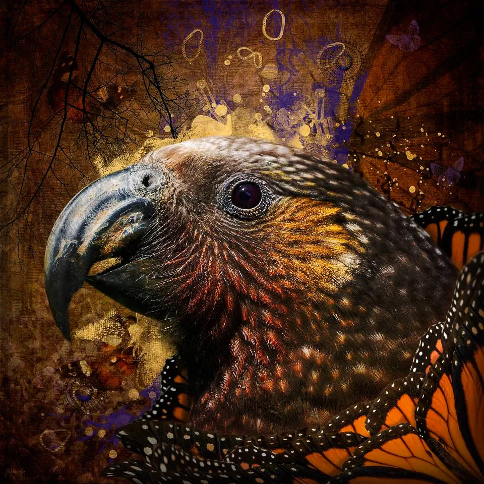 digital artwork of a kaka