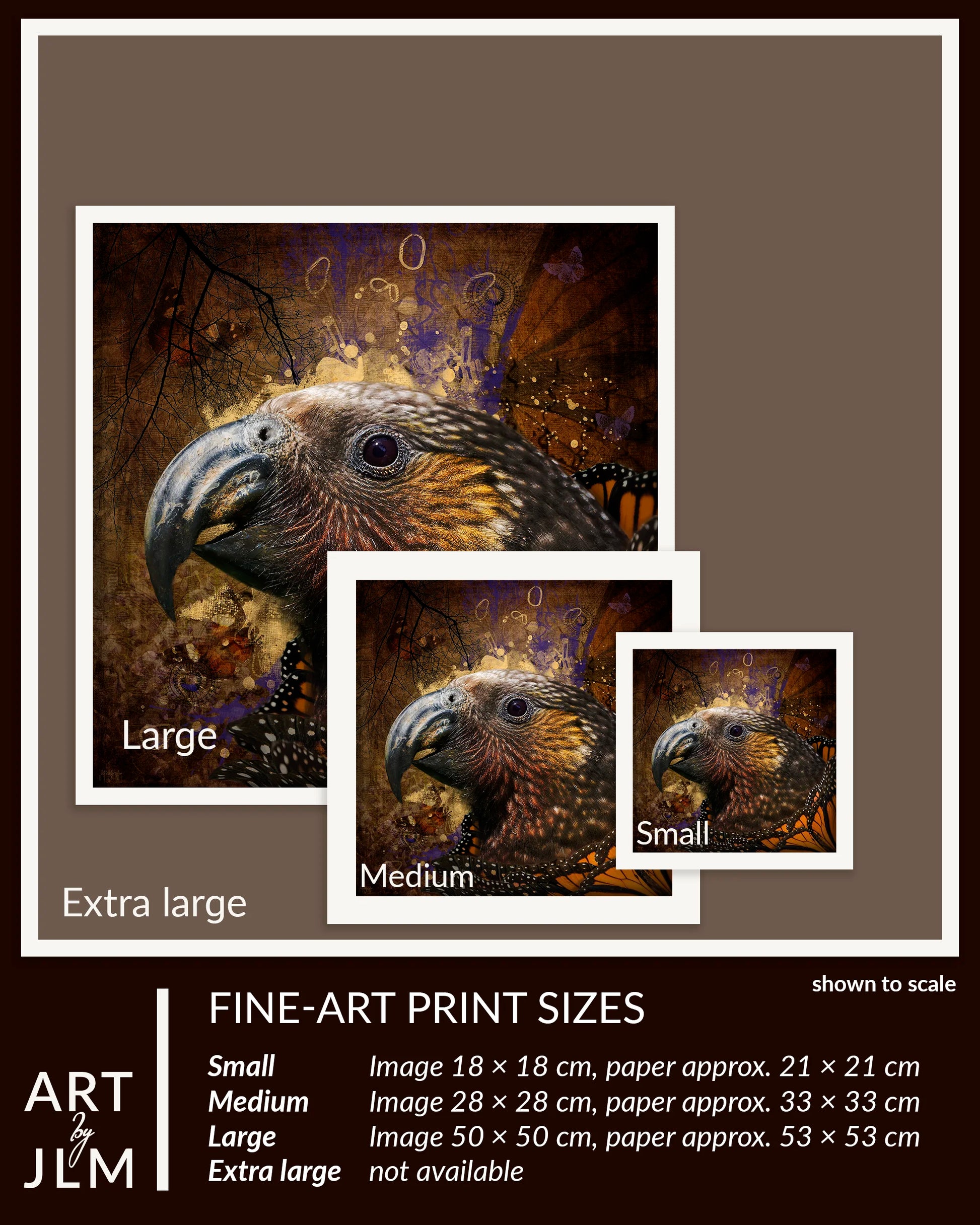 Print sizes to scale
