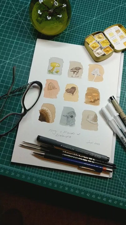 Zooming in on the artwork to show each individual fungi and bird