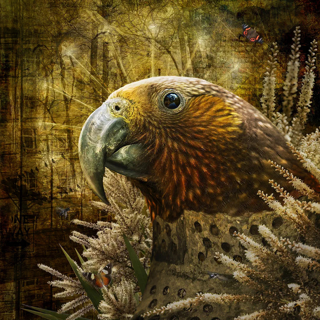 Artwork of a kākā