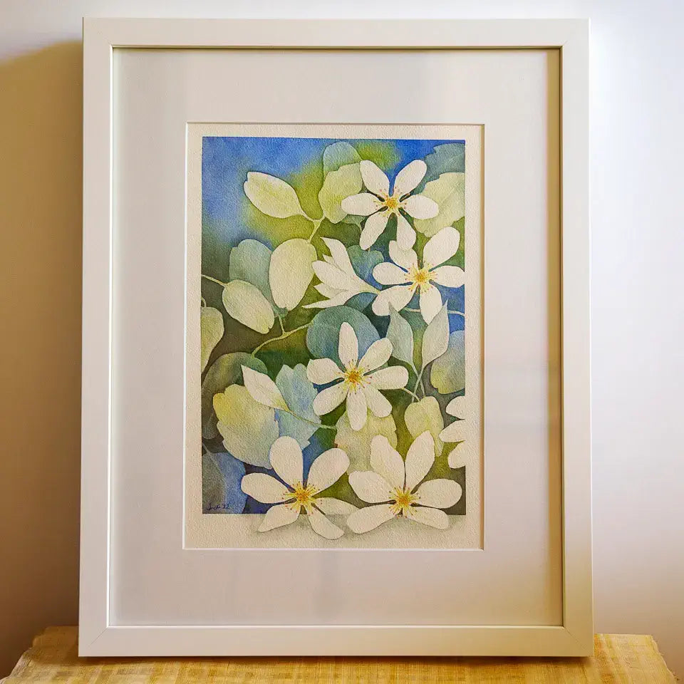 Framed watercolour painting of clematis flowers