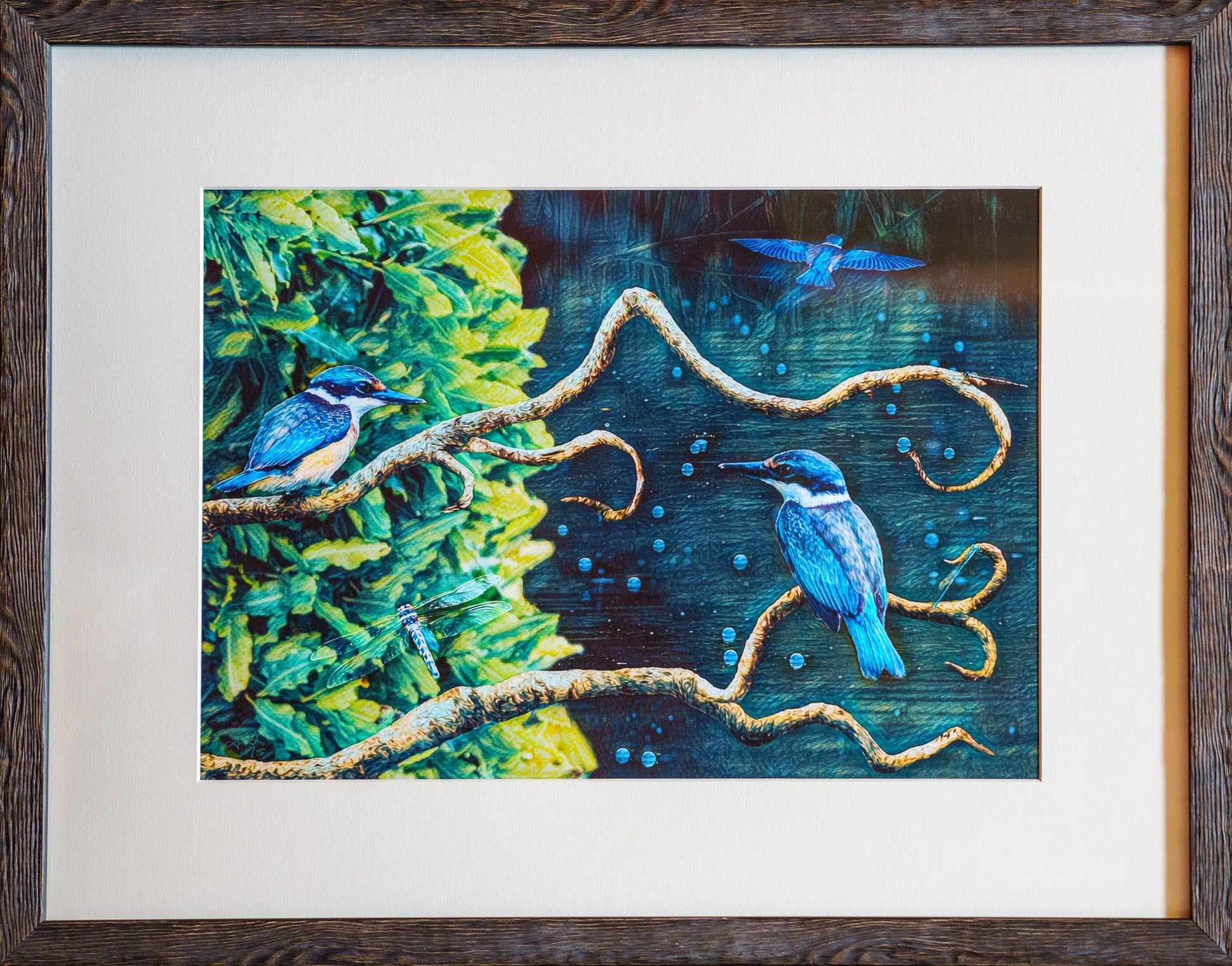 Framed picture of two kingfishers