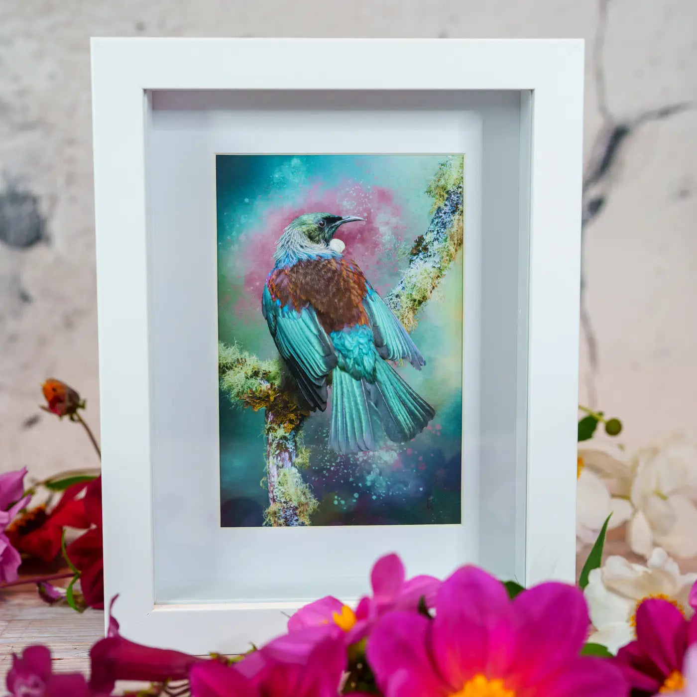 Gorgeous tui in a white frame