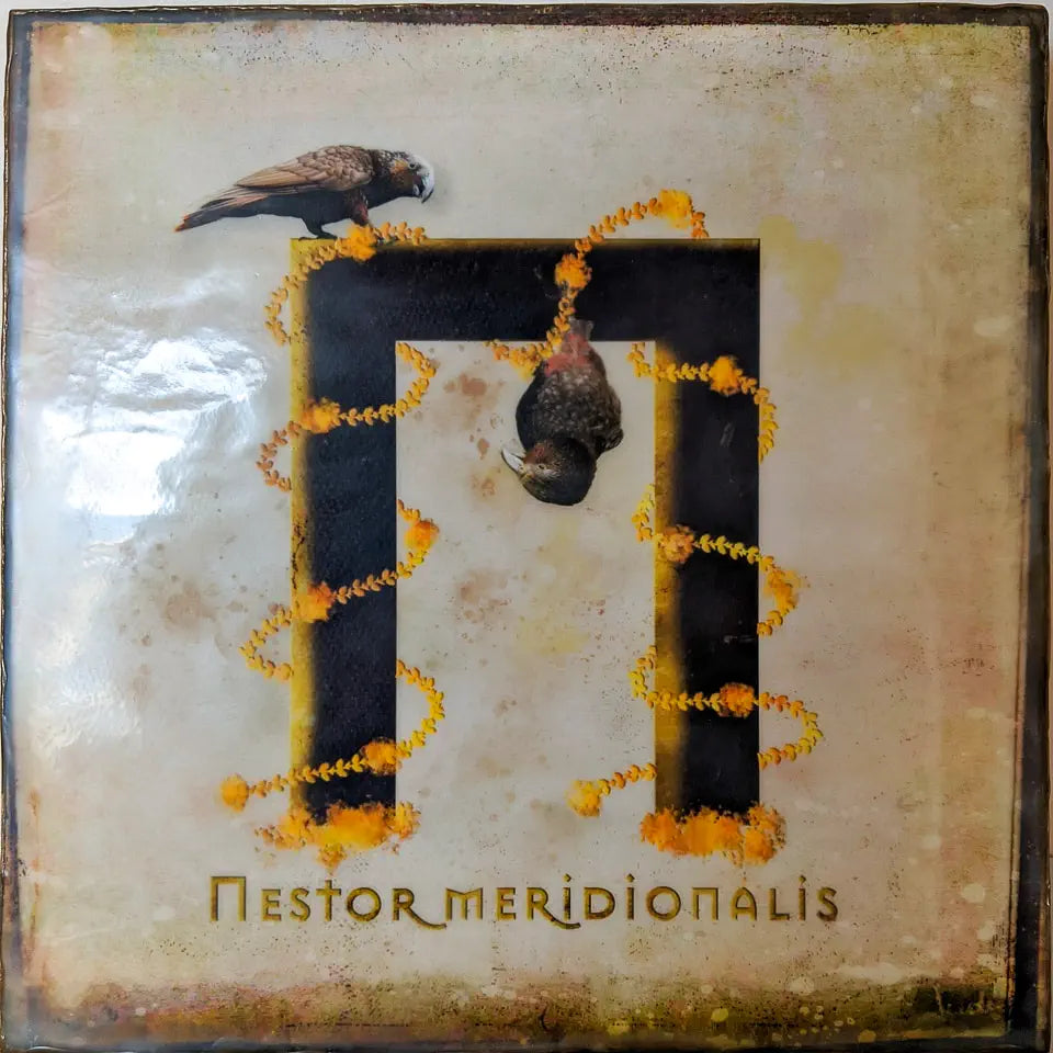 Photo of wax encaustic mounted artwork of two kaka playing on the letter N