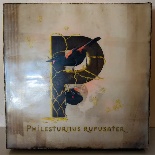 Photo of an encaustic artwork with the letter P and two birds perched on it.