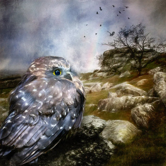 Artwork of an owl on a gothic windswept moor