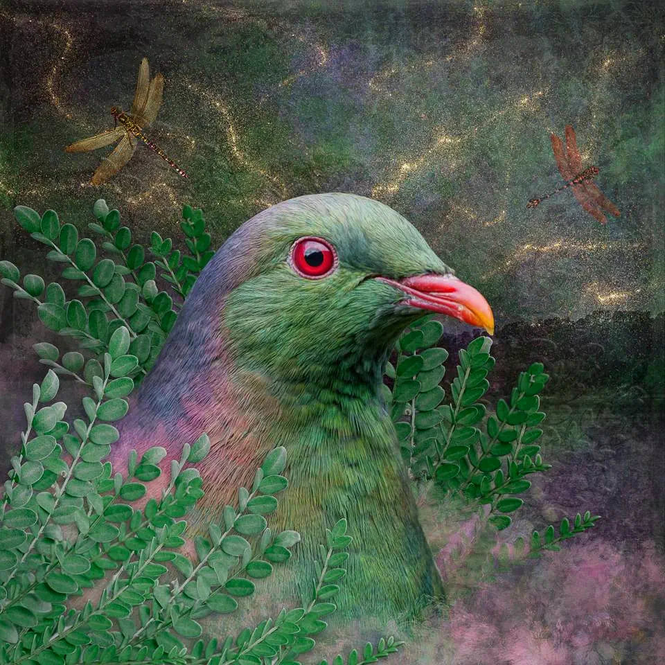 artwork of a kereru pigeon rising between kowhai leaves and mist