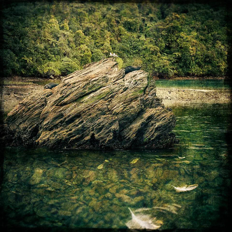 landscape photograph of a rock, forest, and clear water with distorted perspective