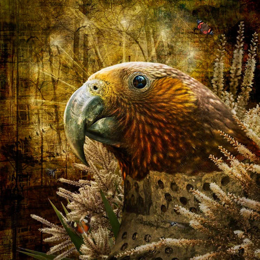 Artwork of a kaka parrot and native flowers with richly textured background of city and urban themes