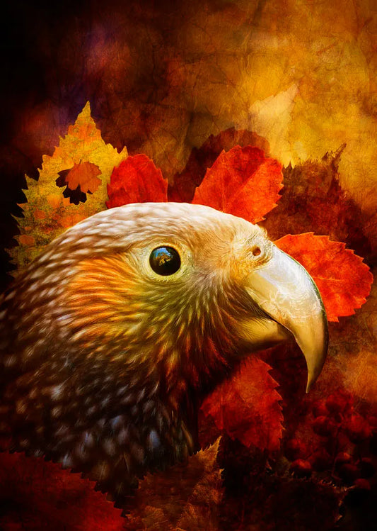 Artwork of a kaka parrot surrounded by native leaves, with autumnal toning