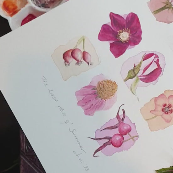 Video zooming in on the artwork of roses and echinacea