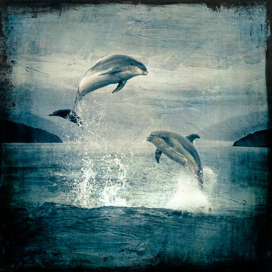 Artwork of two bottlenose dolphins leaping from the waves