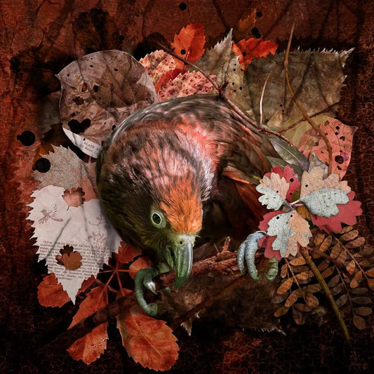 Artwork of a kaka parrot with unusual coppery pink colouring amongst native leaves