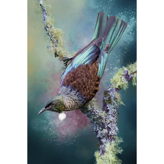 artwork of a tūī swinging from a lichened branch