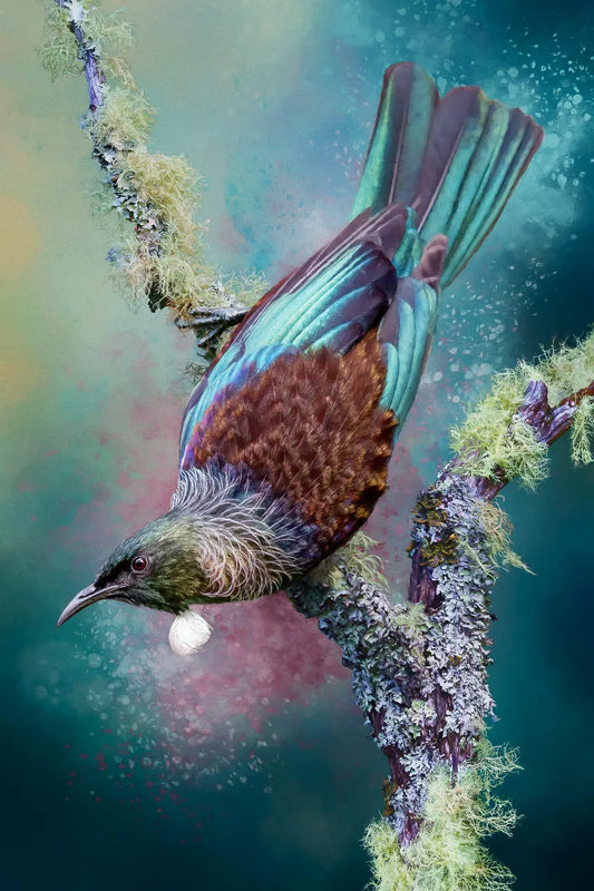 Artwork of a tui bird perched on a lichened branch