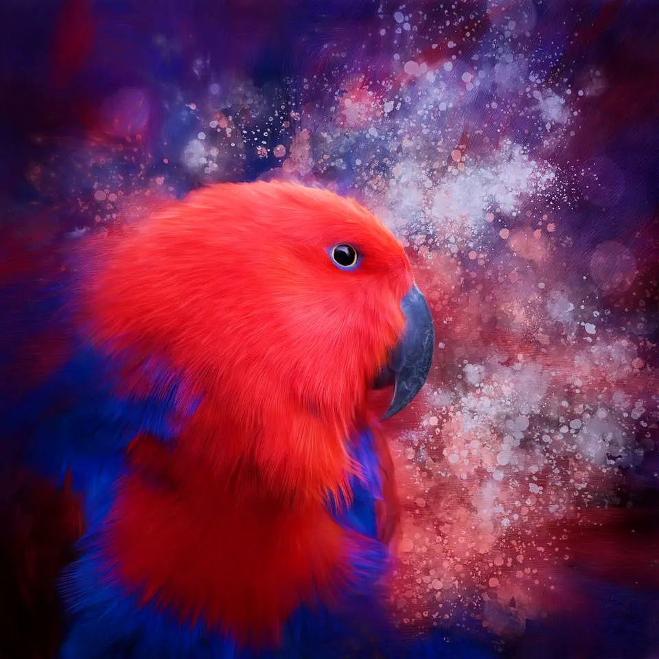 An artwork of a shocking pink and purple eclectus parrot with a splattery background