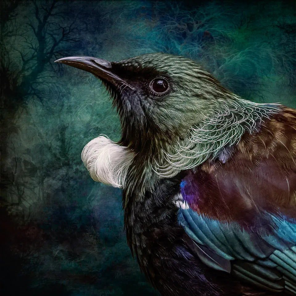 An artwork of a tui portrait, looking to the left, with a dark and stormy background