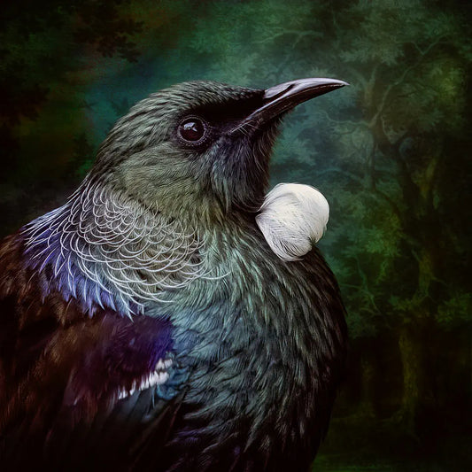 An artwork of a tui bird with an ancient forest background, each feather perfectly rendered