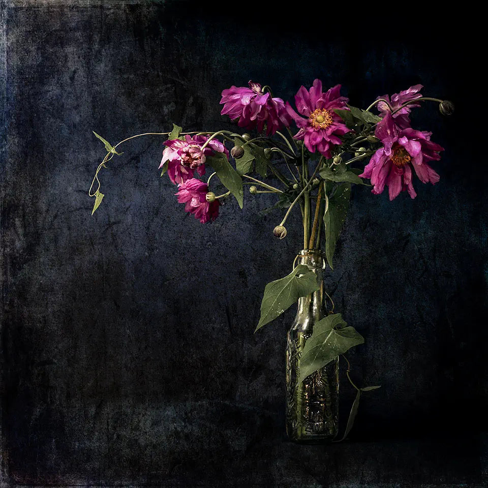 Still life of pink flowers in a bottle against a black textured background