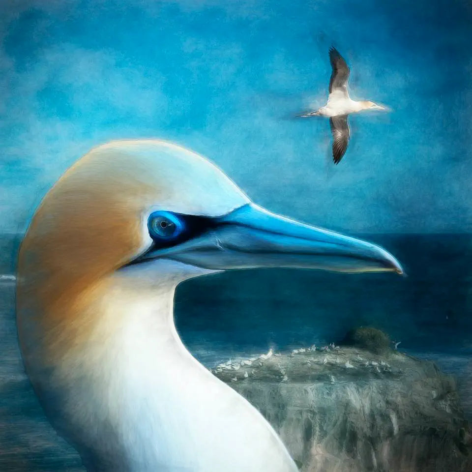 An artwork of a gannet with a landscape background of Muriwai beach