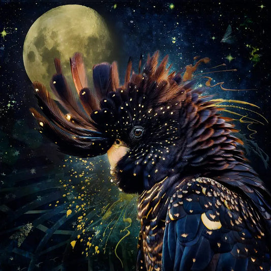 An artwork of a female black cockatoo with a background of stars and moon